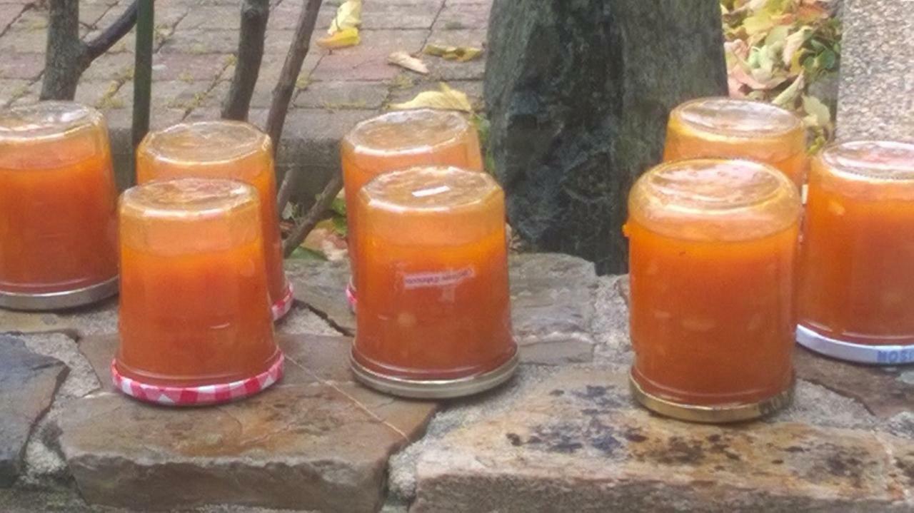 فندق La P'Tit' Fugue La Bouexiere المظهر الخارجي الصورة